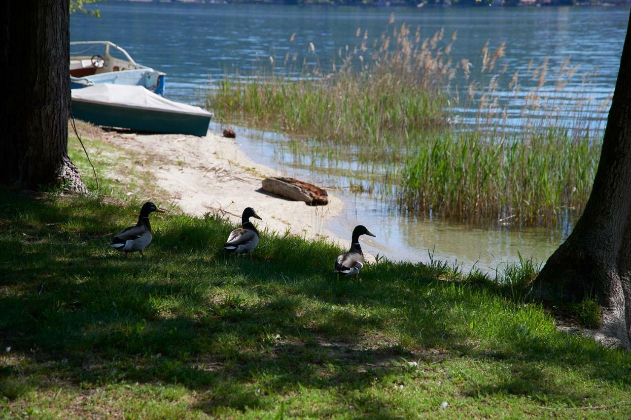 Emy Lake Orta Pella Dış mekan fotoğraf